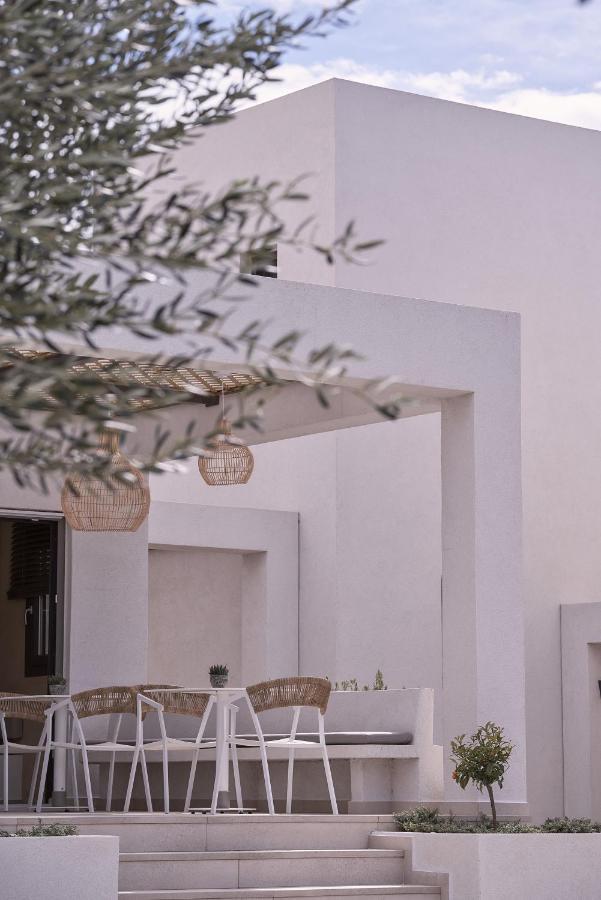 Isida Andros Hotel Agios Petros  Ngoại thất bức ảnh